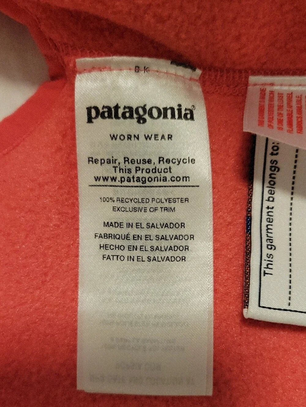 Patagonia soft coral